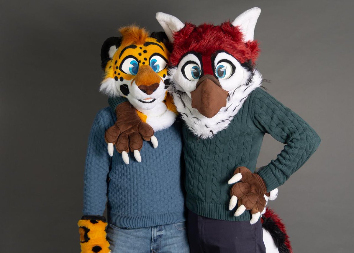 Zeffin 🔜 AQF tweet media