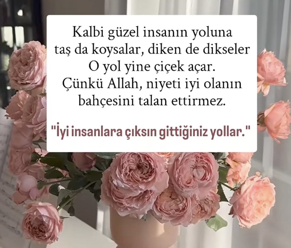 serpil (@srpl_ykl) on Twitter photo 