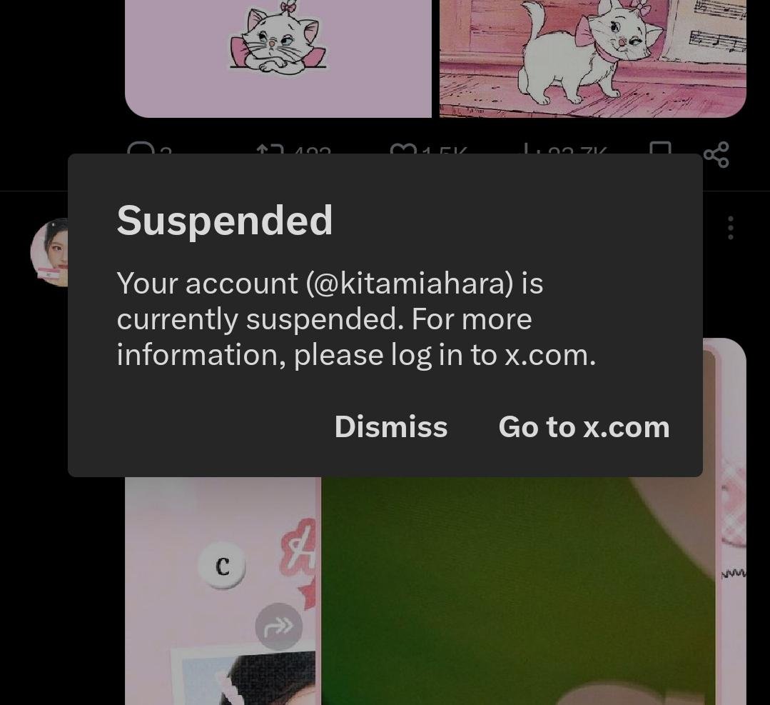 CiEL cape kesapu 🧹🪷 tweet media