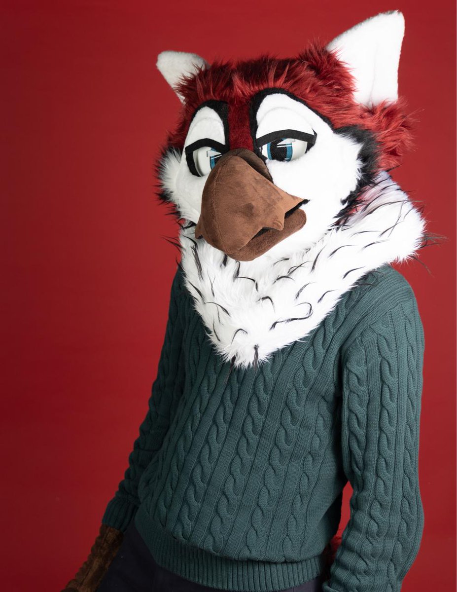 Zeffin 🔜 AQF tweet media