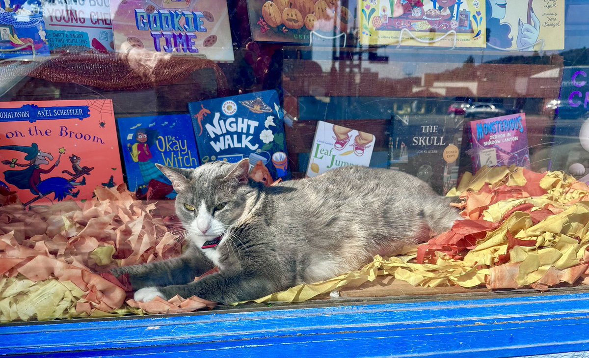 ‏ آربی 🎬🎸 tweet media