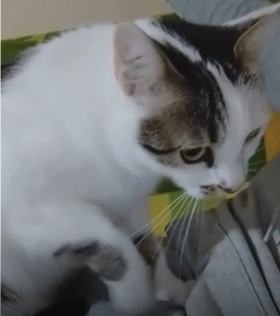 Eylem.İmaroEkoLove tweet media