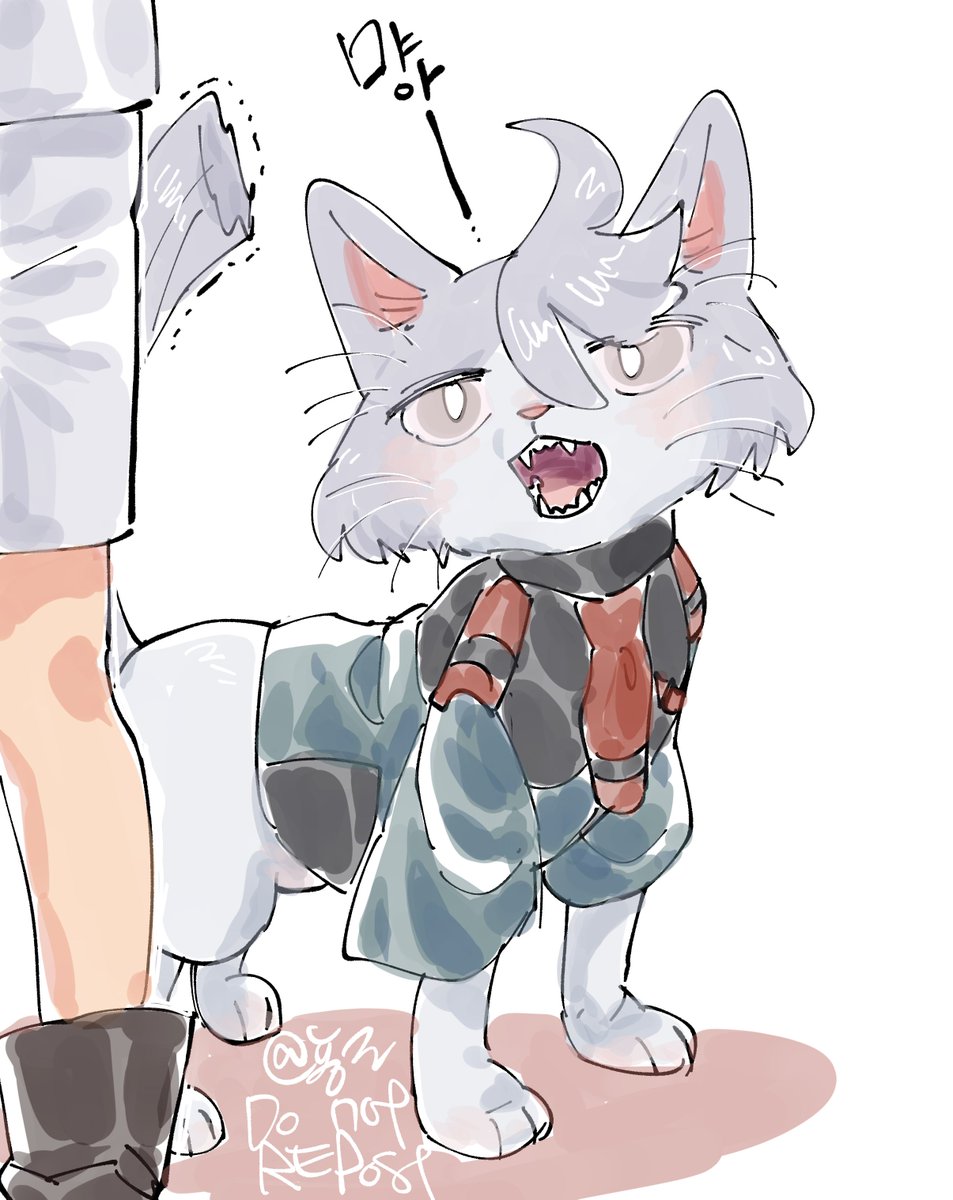 ✨️ 최뇽자 tweet media