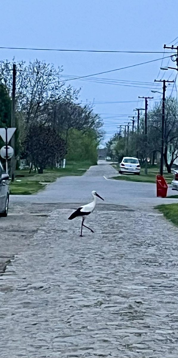 Roda nam se "mota" po komšiluku.