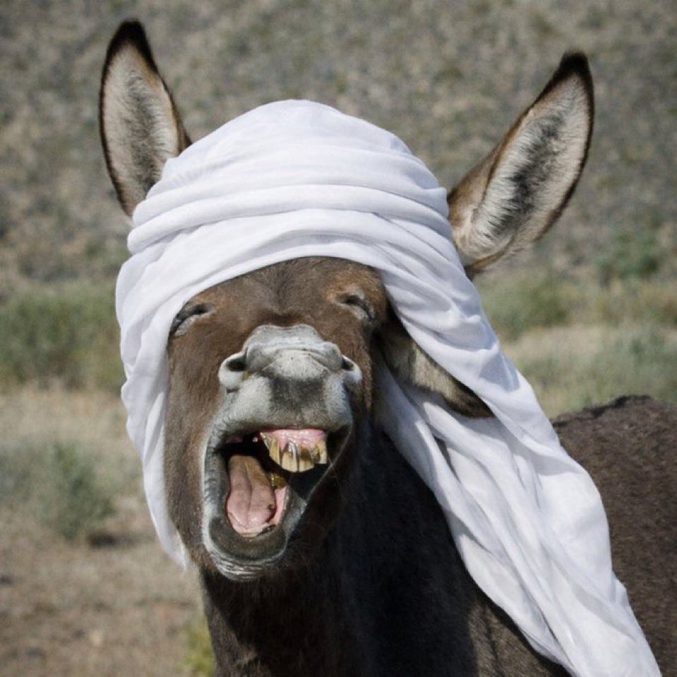 مسلط البرّاق tweet media