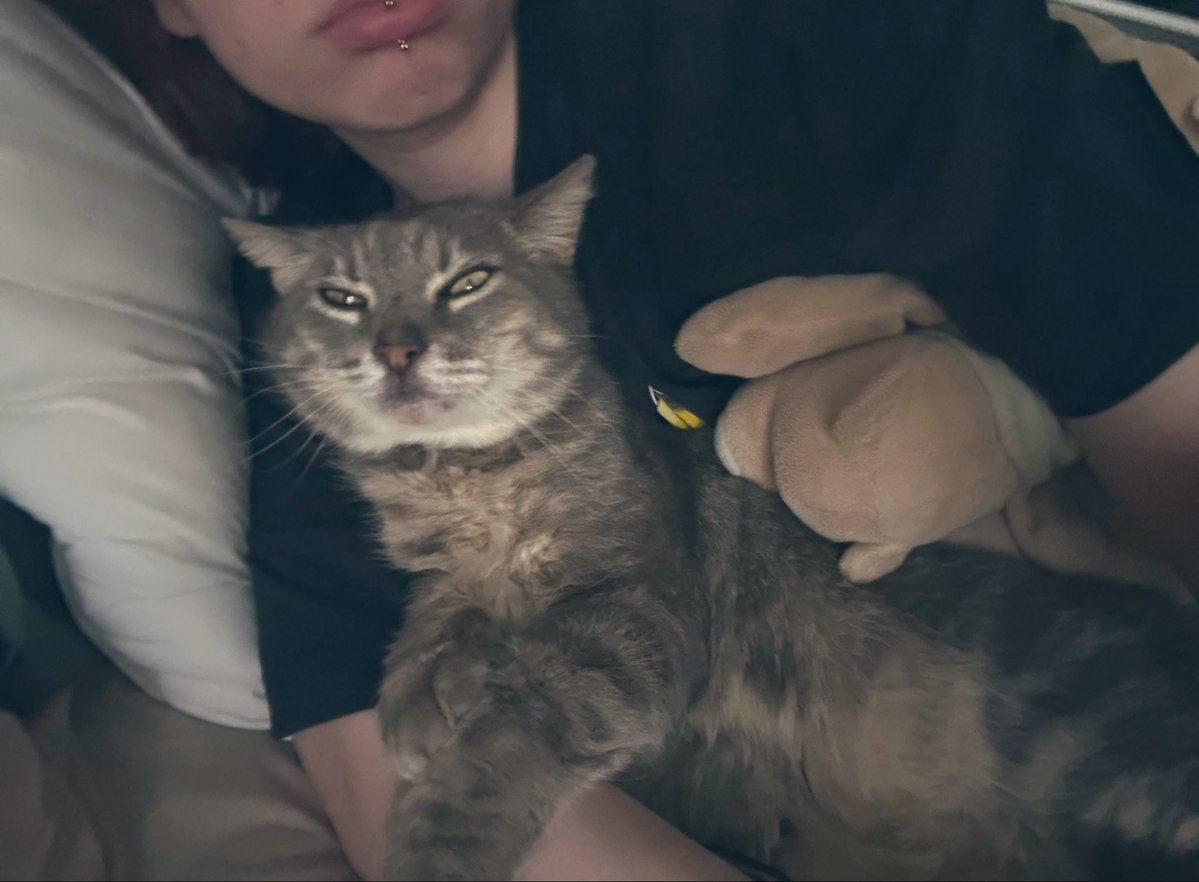 isaure ཐི༏ཋྀ󠀮 tweet media