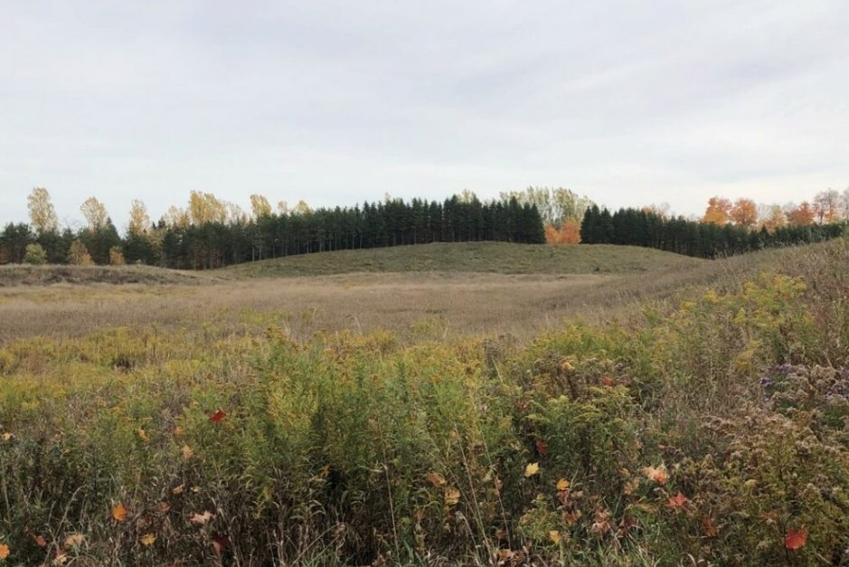 CVC_CA's tweet image. A big transformation underway!🌿We’re turning former #Caledon pits into future parks and we want your input.

On May 7: Join our Pits to Parks Open House to learn more, ask questions and share your ideas. Learn more: cvc.ca/event/pits-to-…