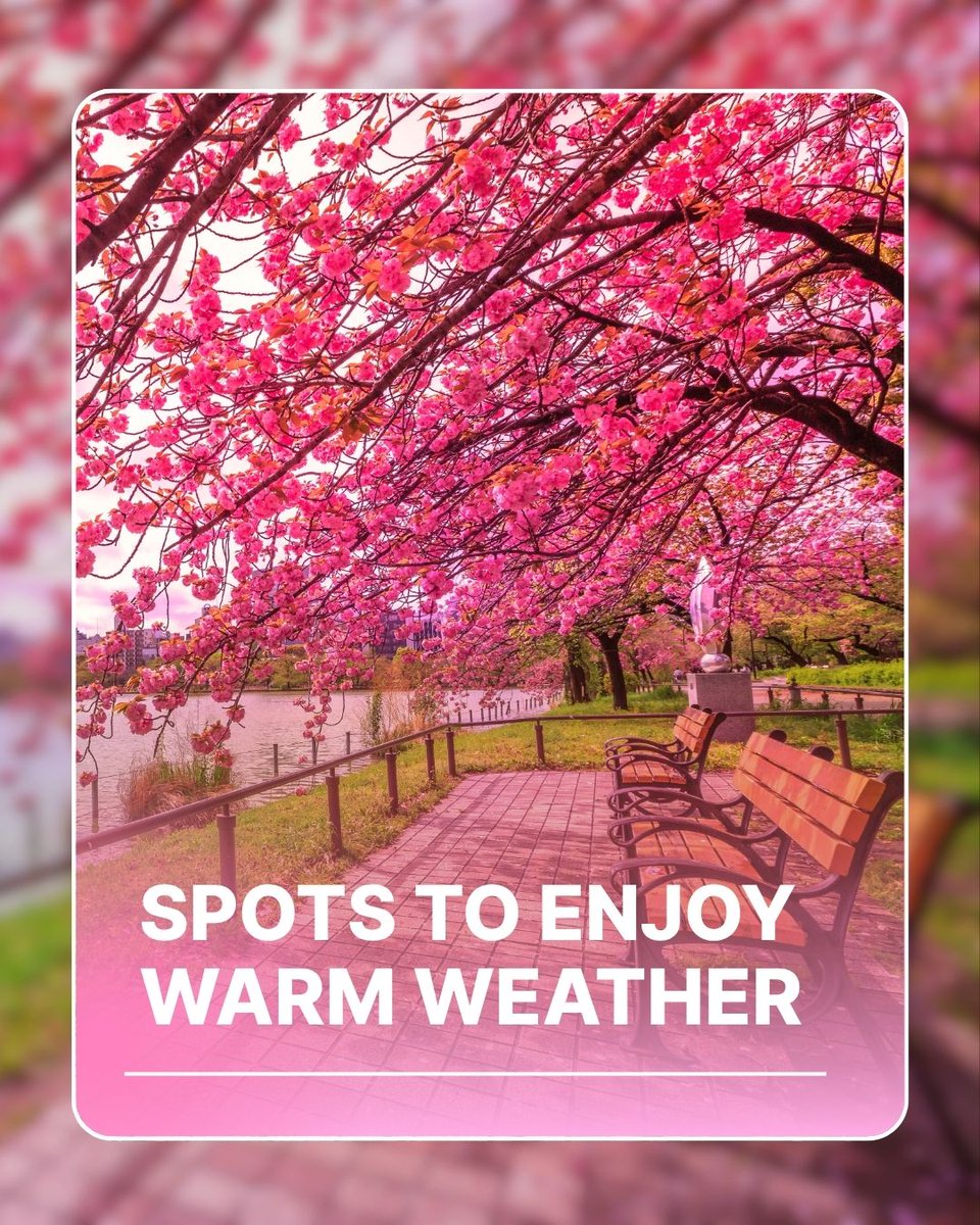 AutumnRidgeApt's tweet image. Warm weather calls for getting outside ☀️🌿

From patios to parks, there are so many local spots to enjoy the sunshine.

Drop your favorite place to spend a warm day + tag someone you’d go with.⬇️

#WarmWeather #LocalSpots #MultifamilyHousing #ApartmentRental #Apartments