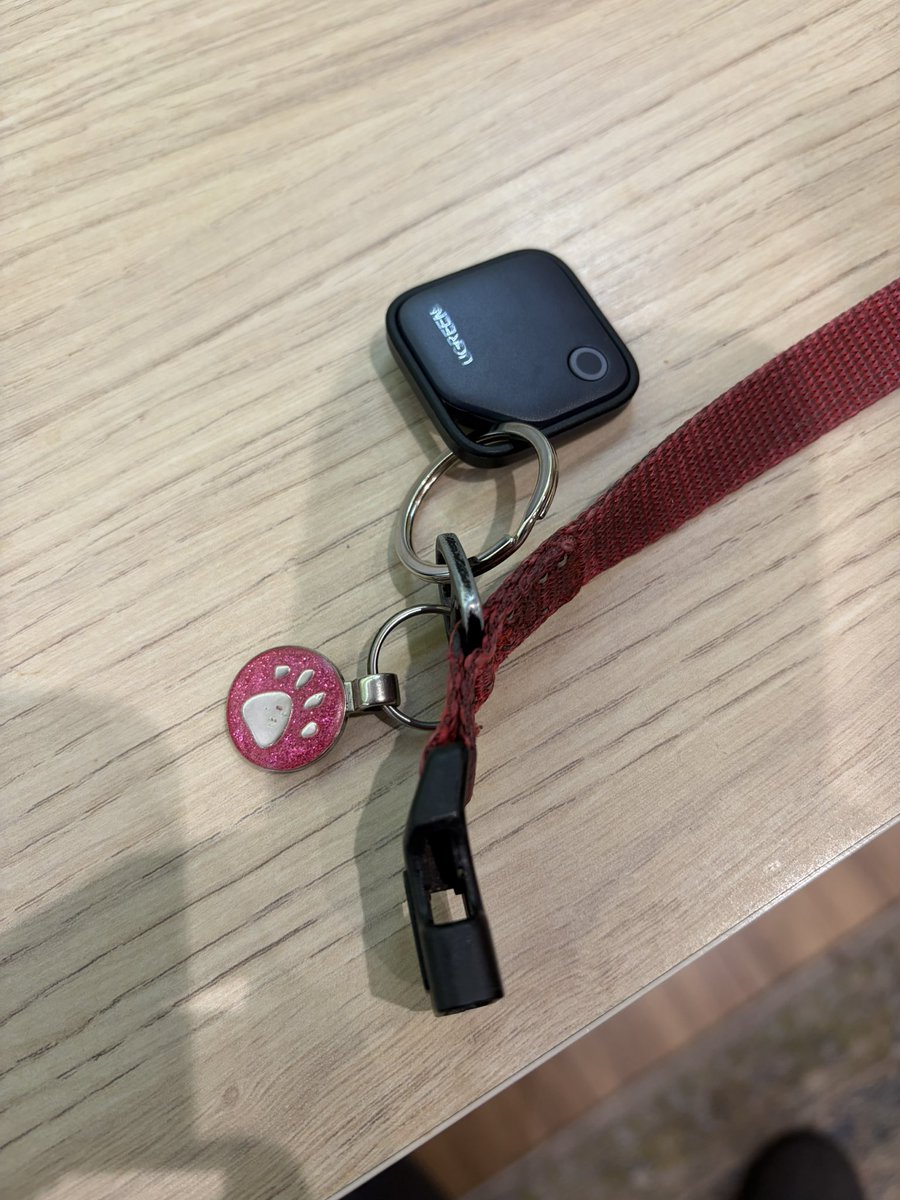 ☠️ Matt 👾 tweet media