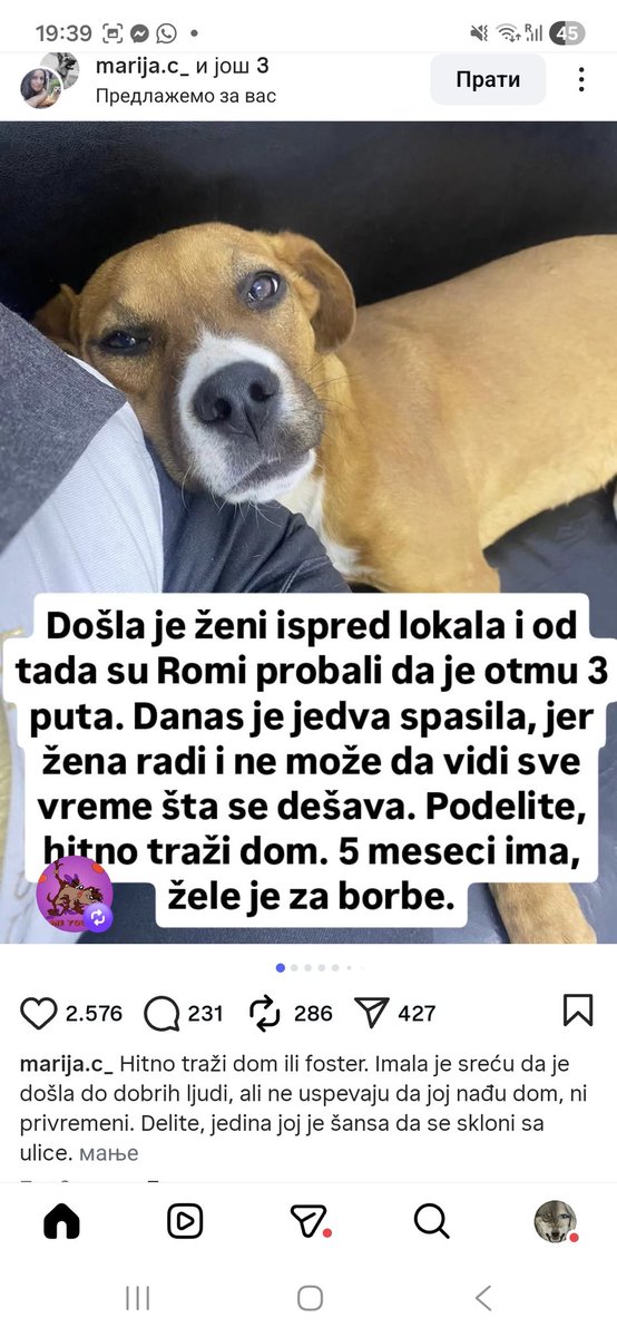 @zverka_1970 tweet media