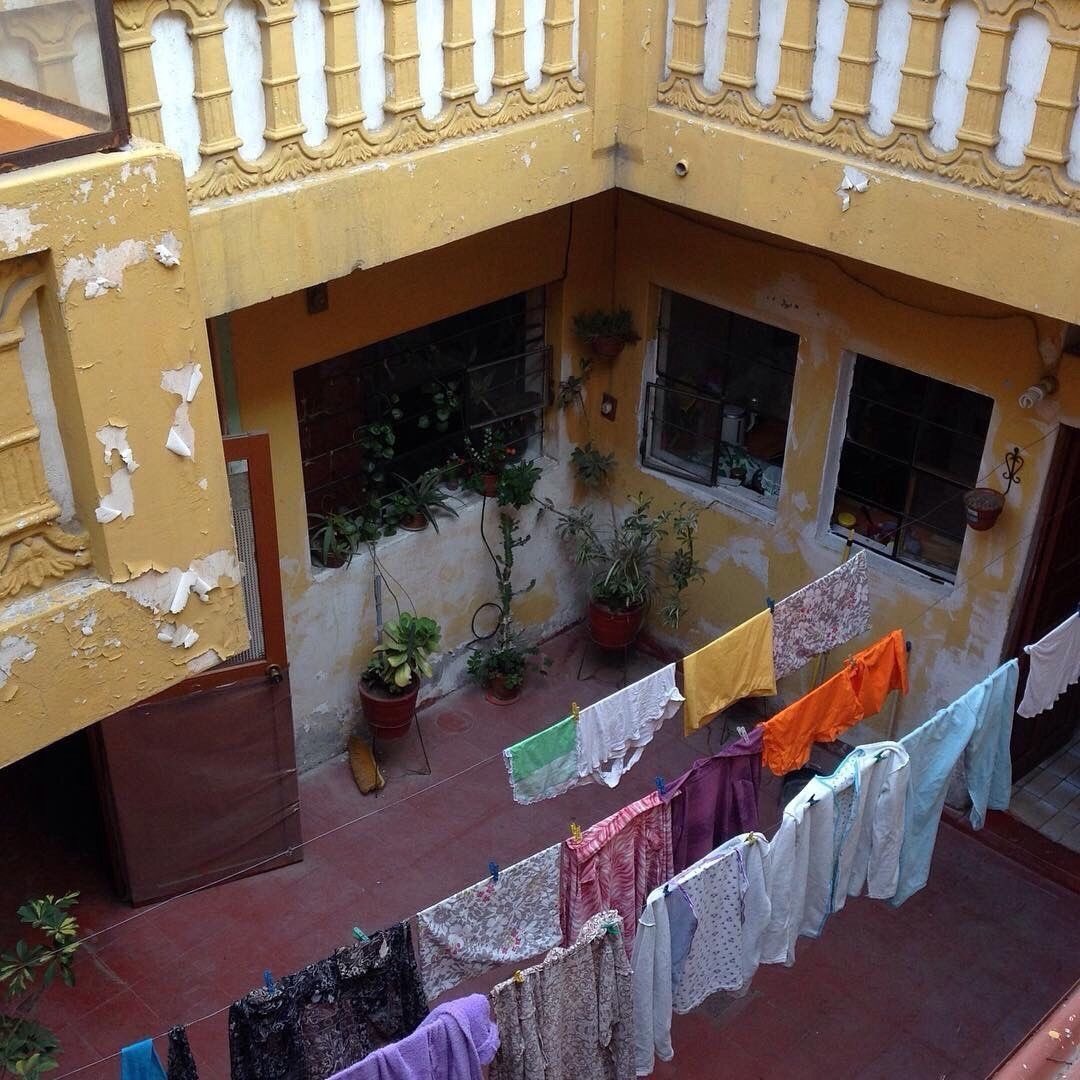 sagal 🐆 tweet media