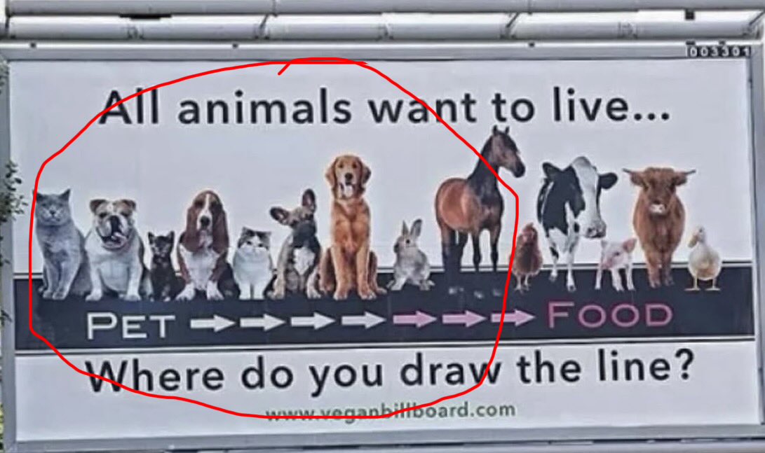 NothingIsArt tweet media