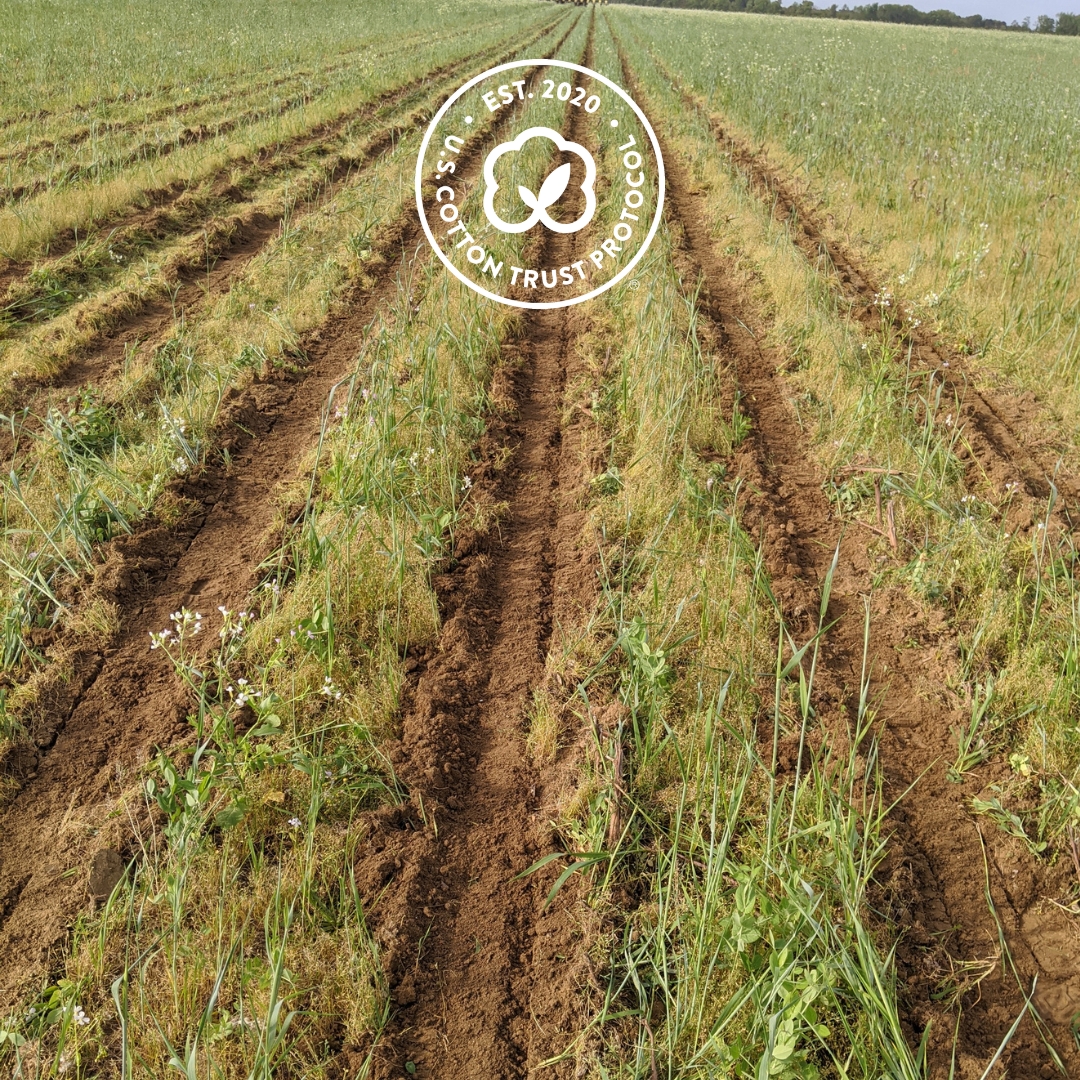 U.S. Cotton Trust Protocol tweet media