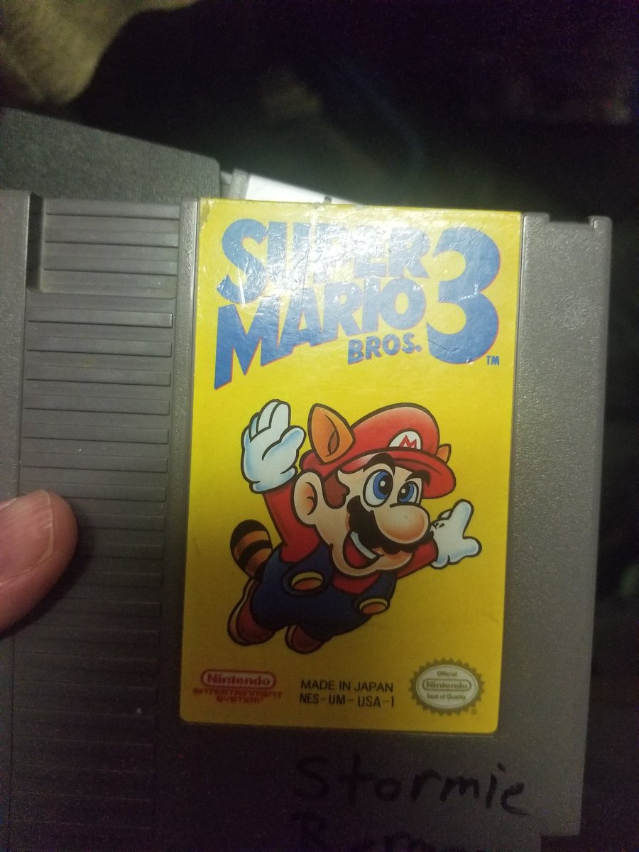 Stormie Bergeaux 🎮🏕️ tweet media