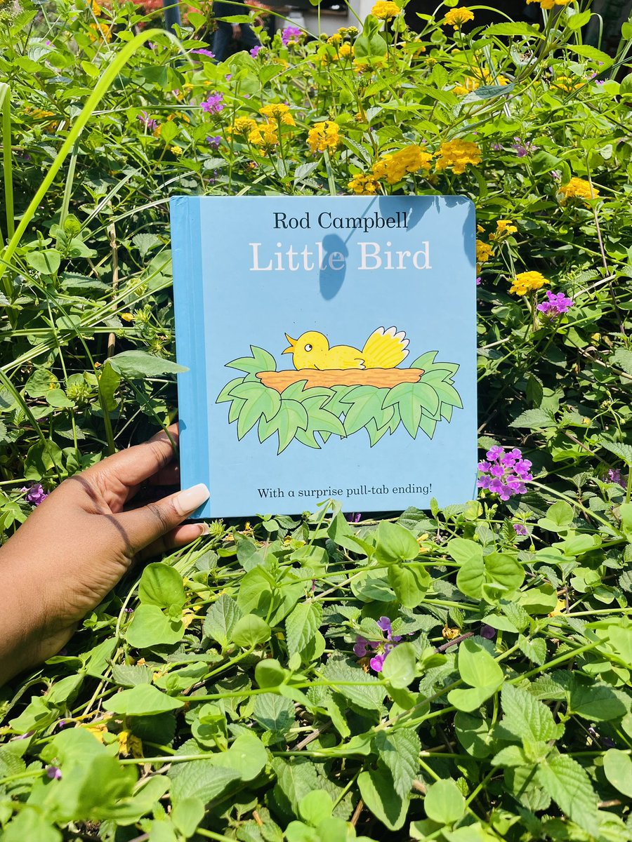 Booked! Children's Library tweet media