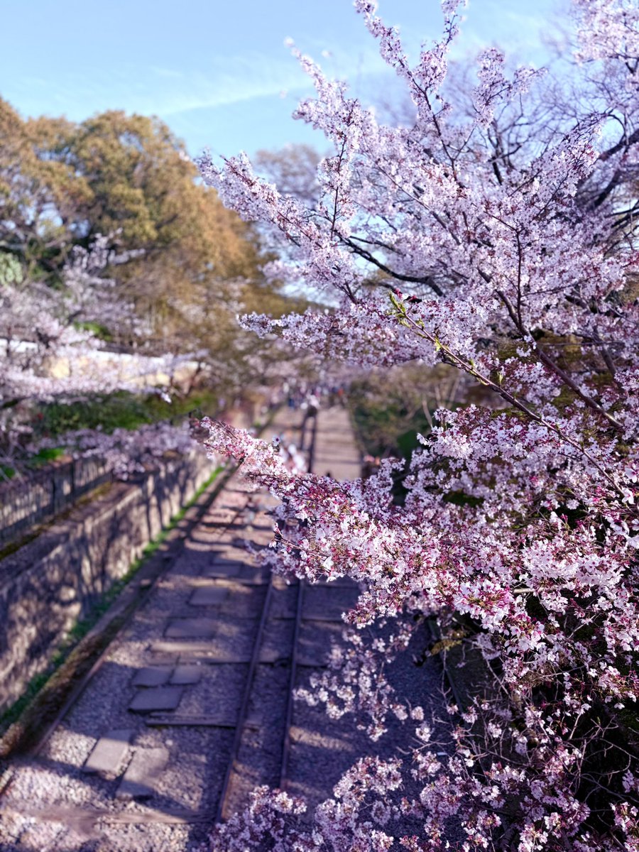 ぴーちゅん tweet media