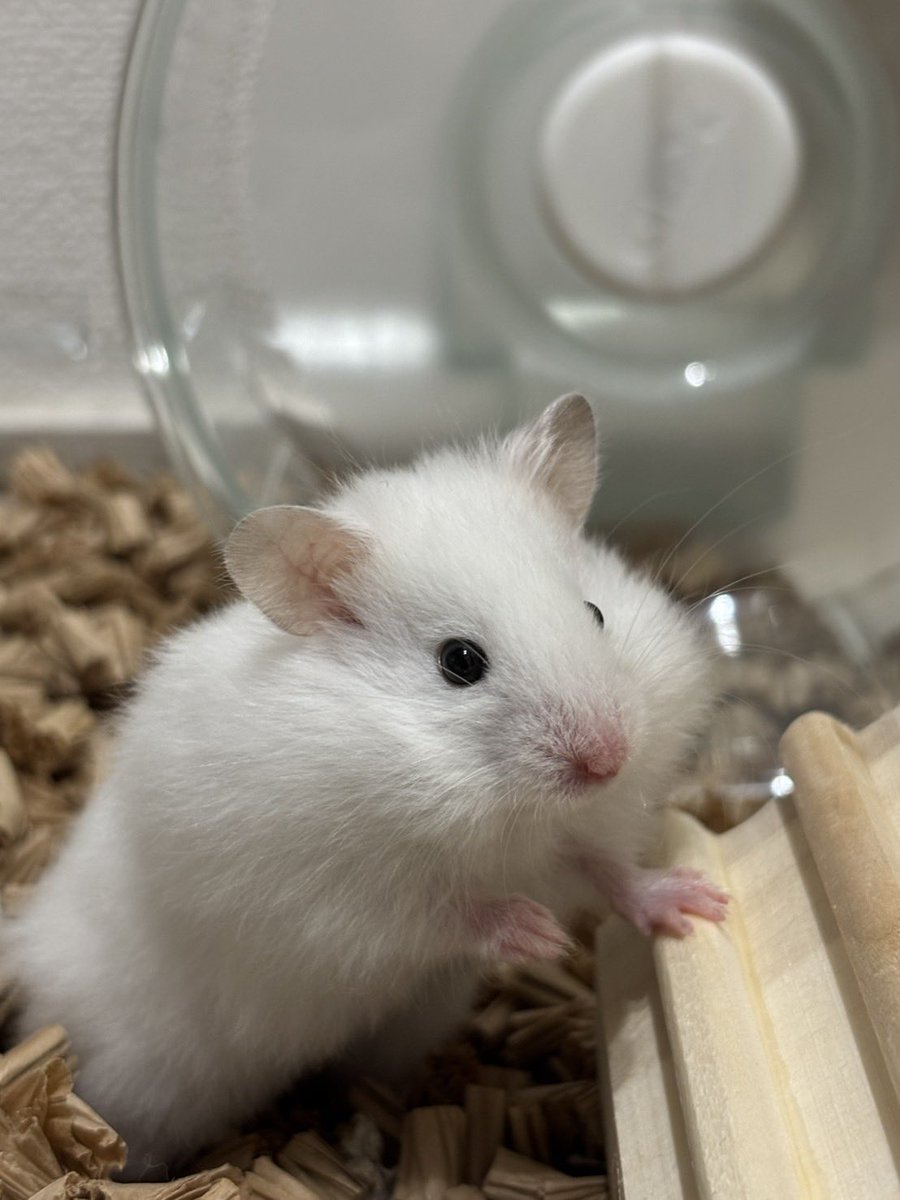 ｴﾘ　k tweet media