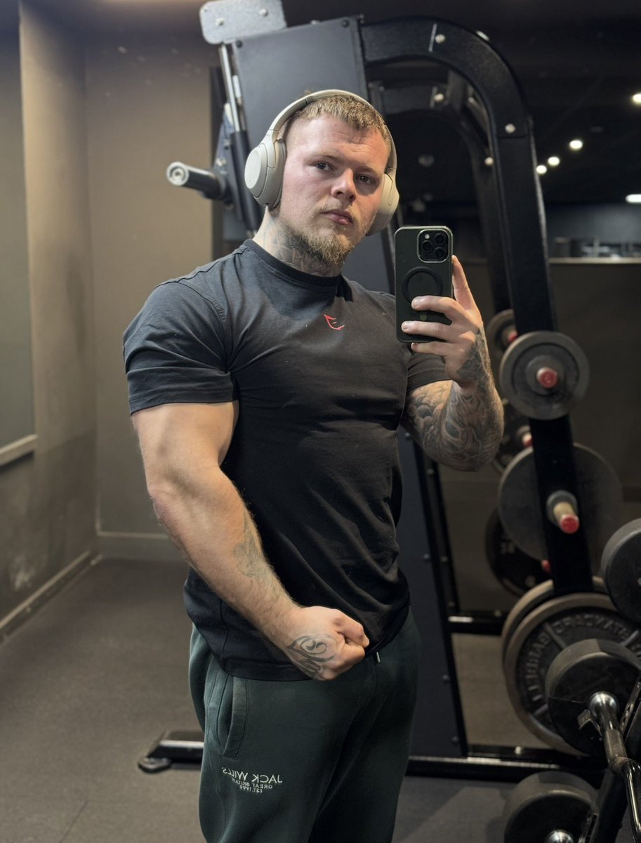 Alphajacked 🦍 tweet media