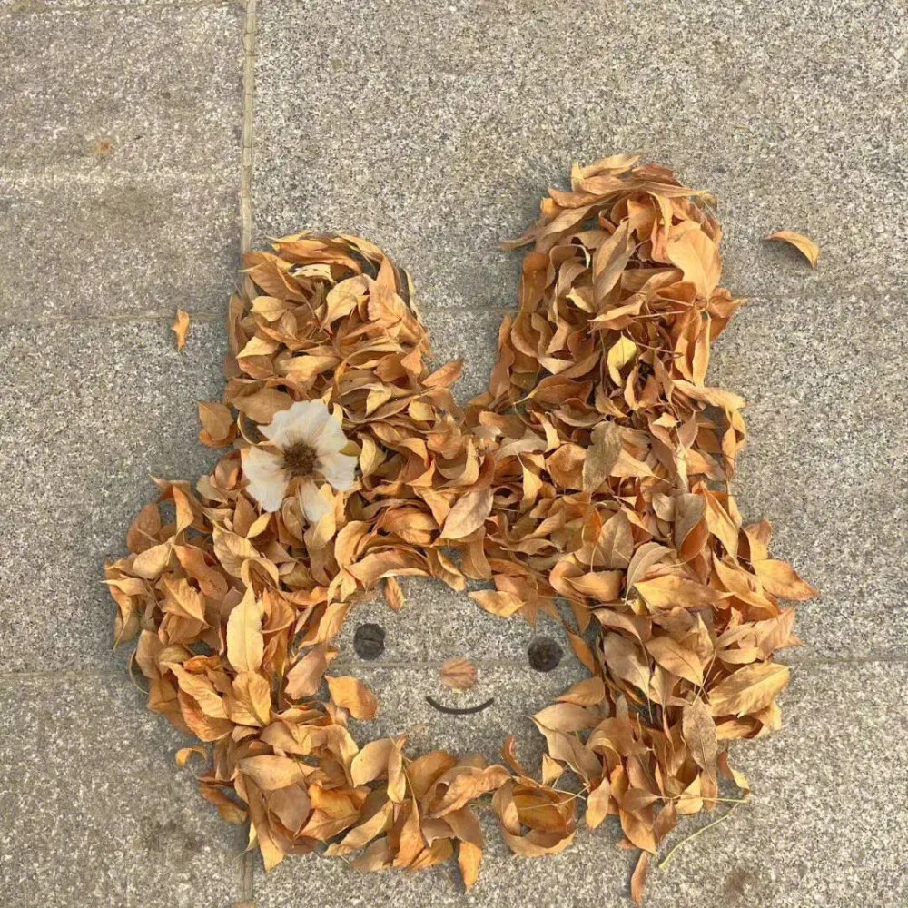 Александр Калденберг tweet media