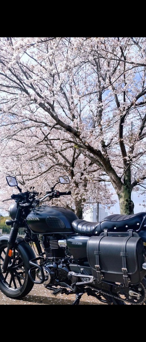 fool191919's tweet photo. #GB350
#桜とバイク https://t.co/RIKjRUfFhx