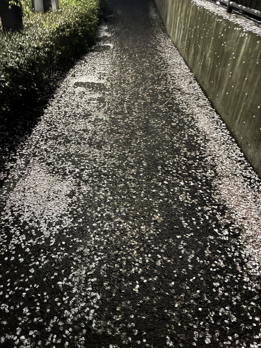 アザマ tweet media