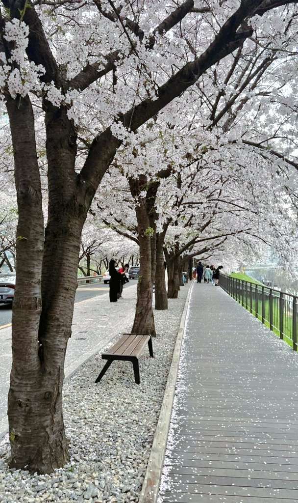 THE VIP GIRL tweet media