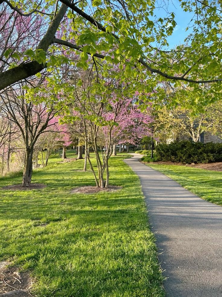 THE VIP GIRL tweet media