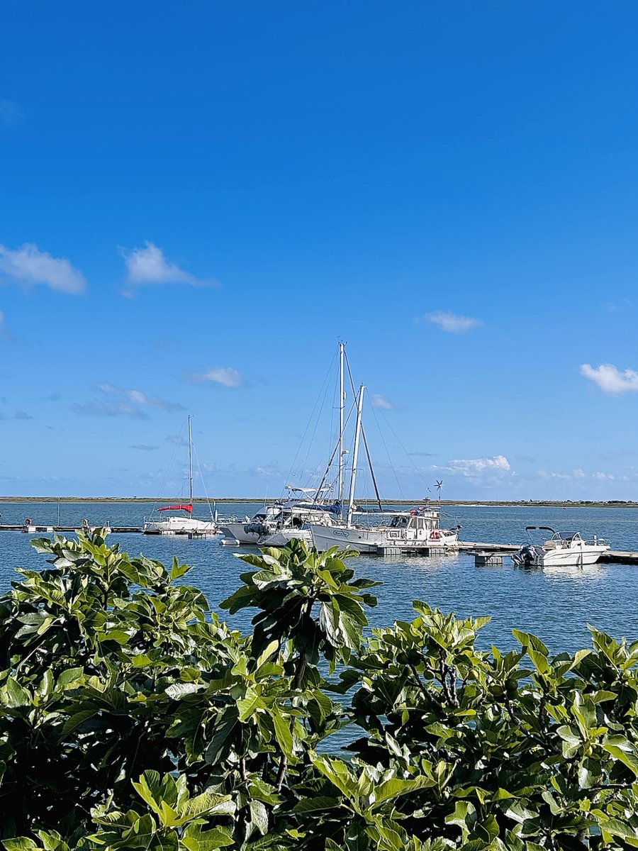 Maria Barros tweet media