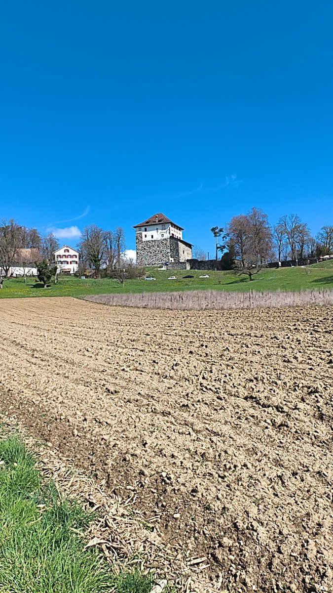 Sascha Flüeler tweet media