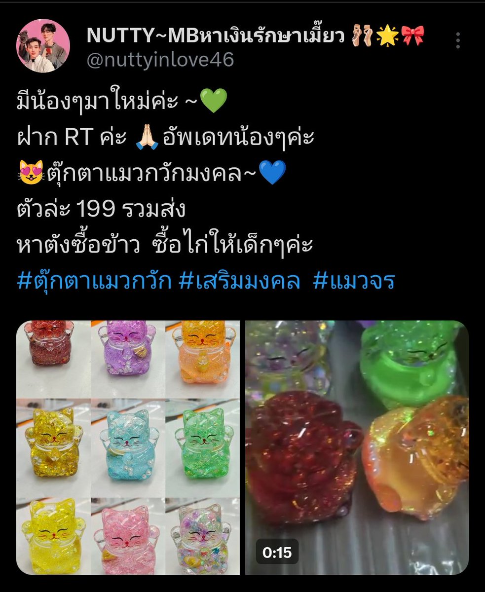 NUTTY~MBหาเงินรักษาเมี๊ยว 🩰🌟🎀 tweet media