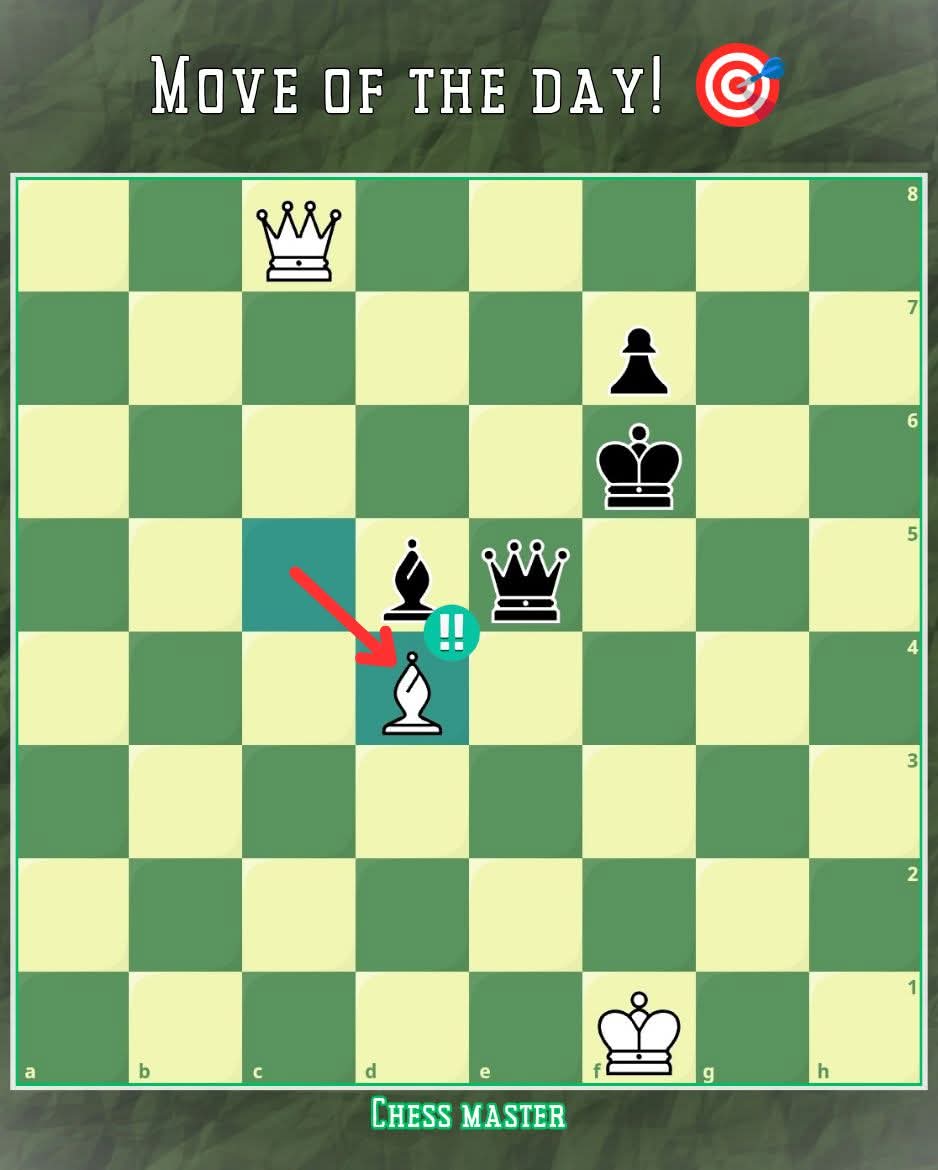 Chess Master tweet media