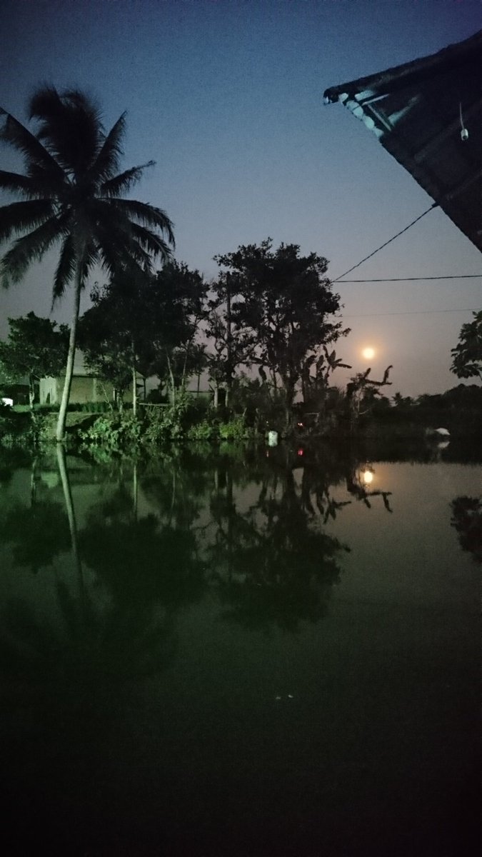 w@rDHANIku🌹 tweet media