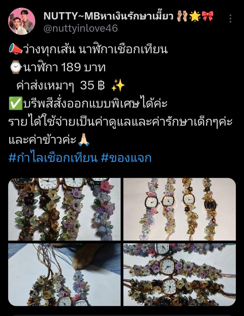 NUTTY~MBหาเงินรักษาเมี๊ยว 🩰🌟🎀 tweet media