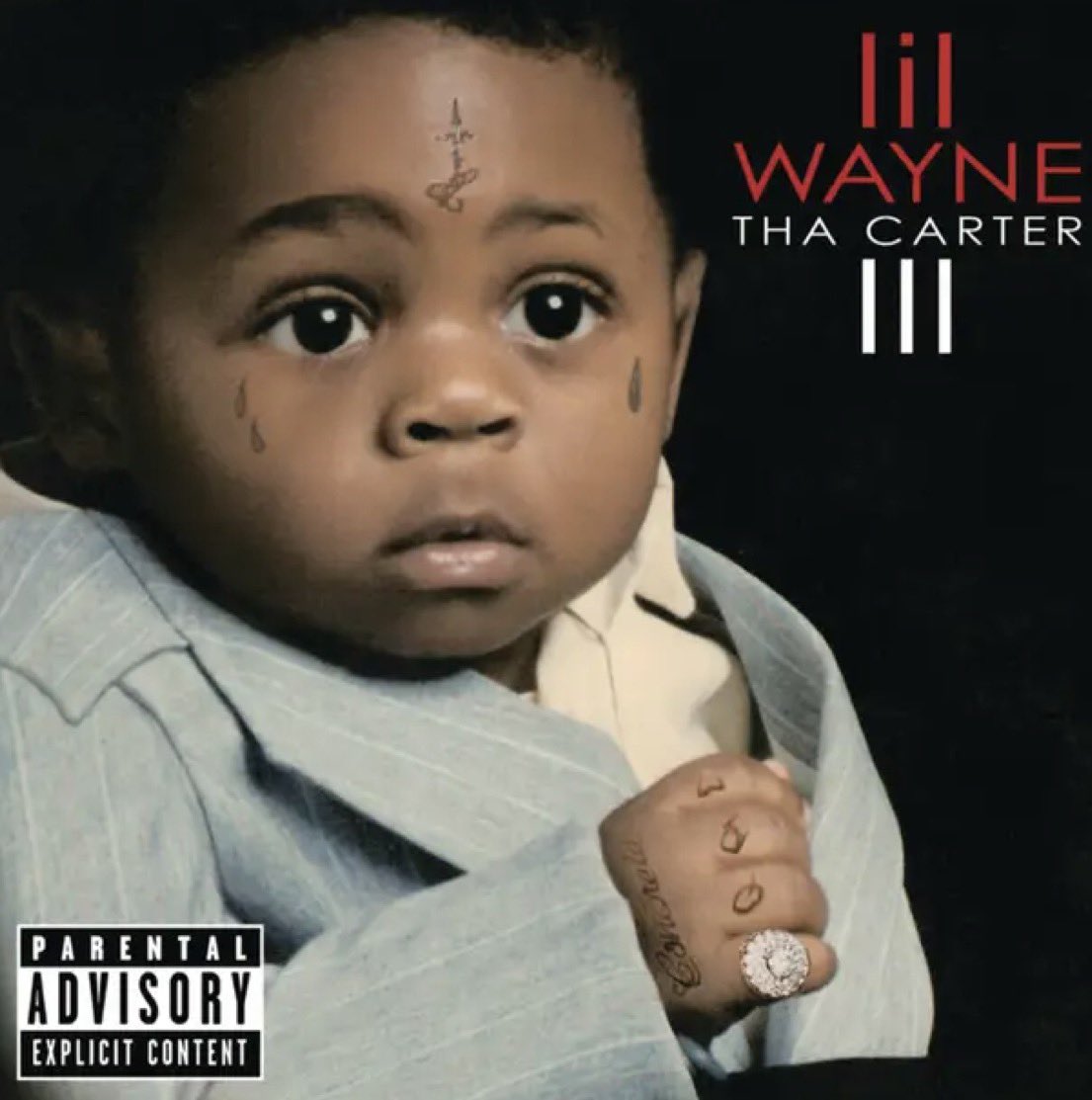 Beaver 🦁 tweet media