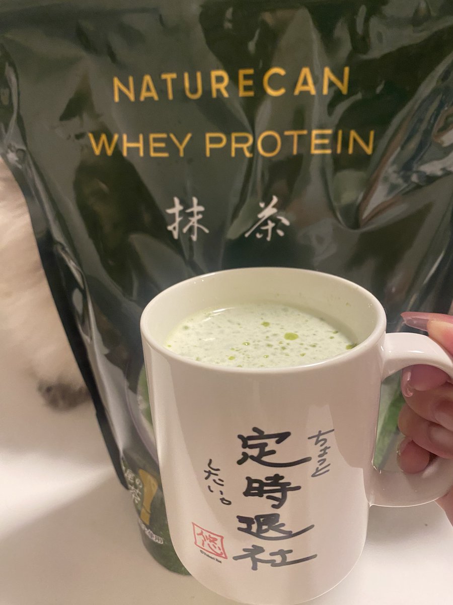 燈守とも🎰🐈‍⬛ tweet media