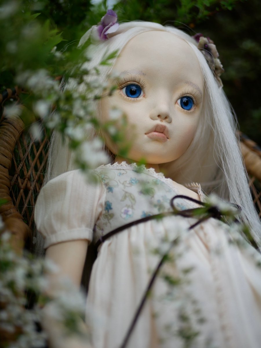 空木架子 tweet media