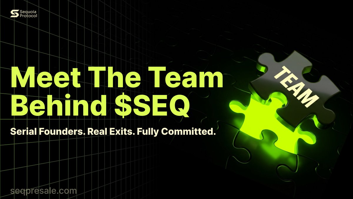 A strong project begins with a strong team.

Behind this project is a team with real hands-on experience in building and scaling startups. Before this, we launched successful Web2 companies, grew them, and eventually exited them through deals with funds and major companies.

That