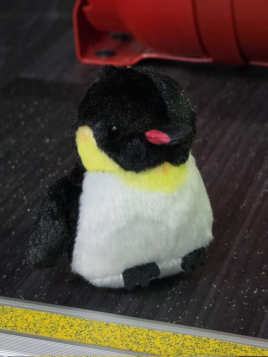 슈우 🍺( ¯꒳​¯ )ᐝ tweet media