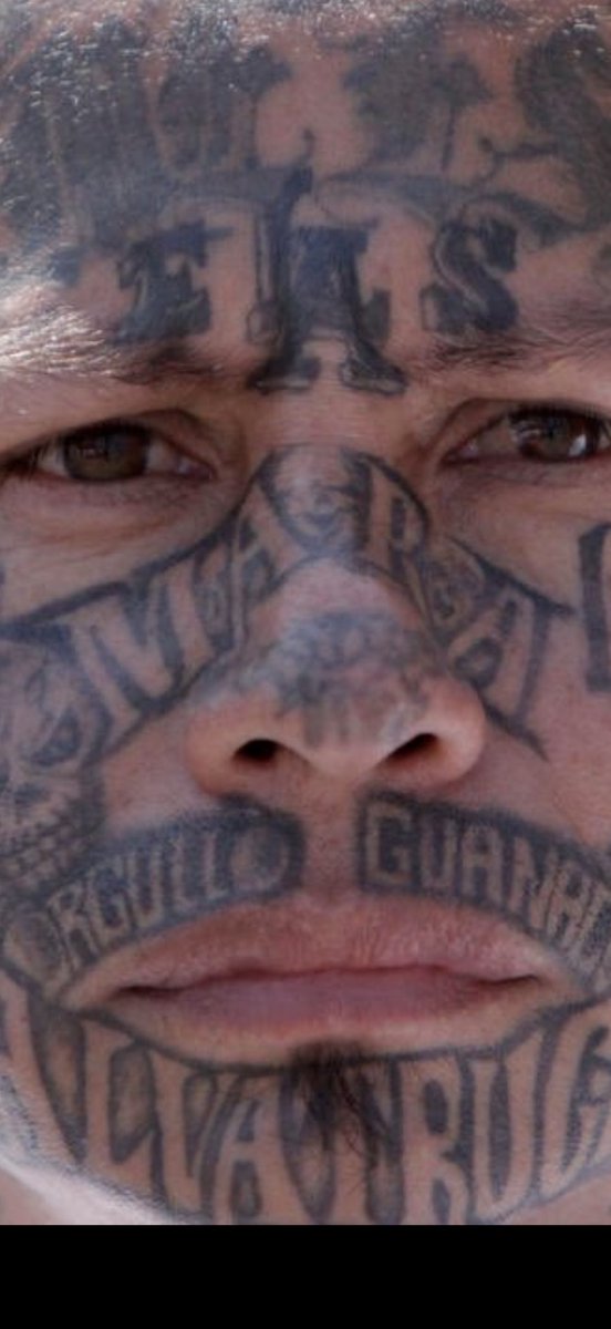 Sam 🇲🇽✝️ tweet media