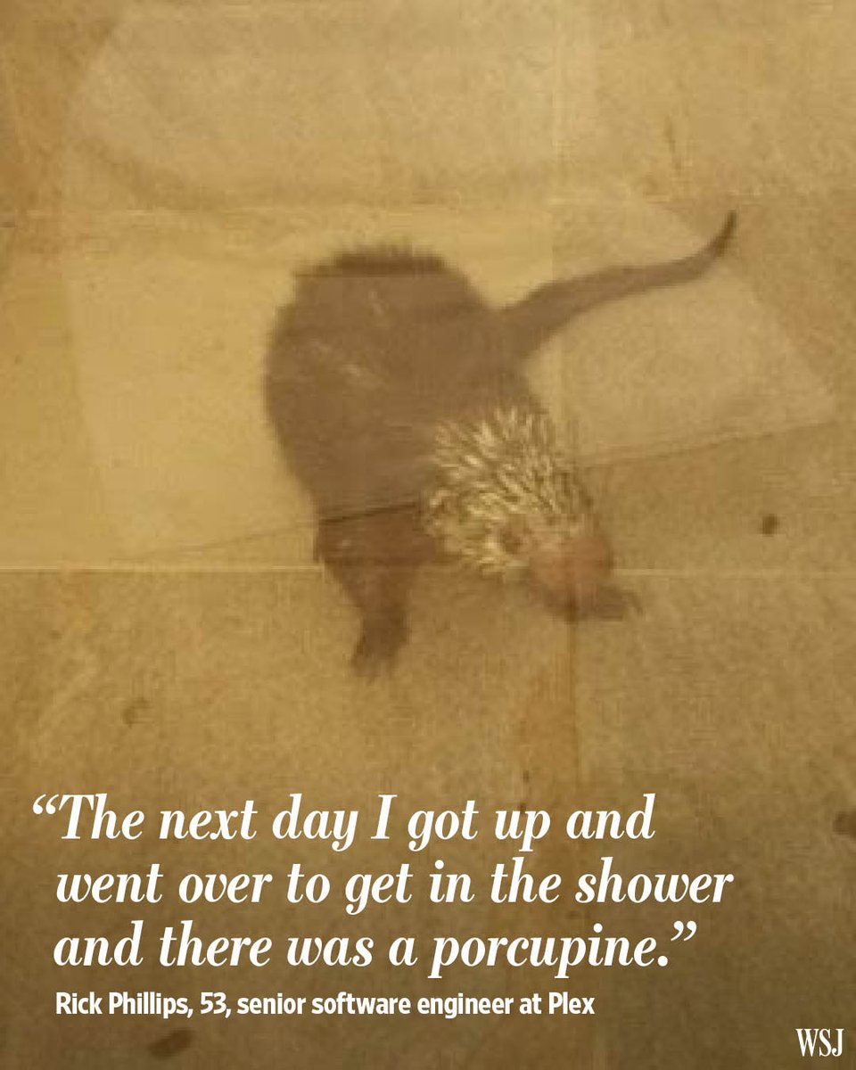 The Wall Street Journal tweet media