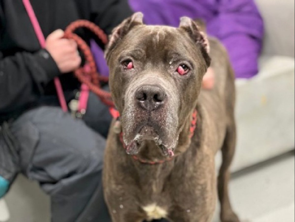 Julie🌻🐾 tweet media