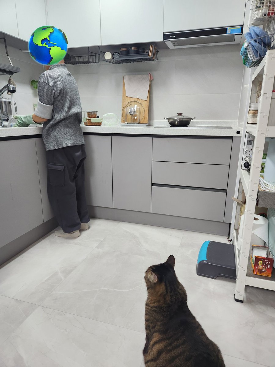 🌈민트구스🌈 tweet media