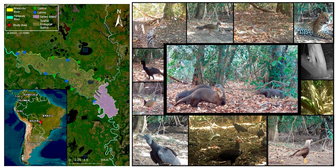 🐾Carlos Peres🐾 tweet media