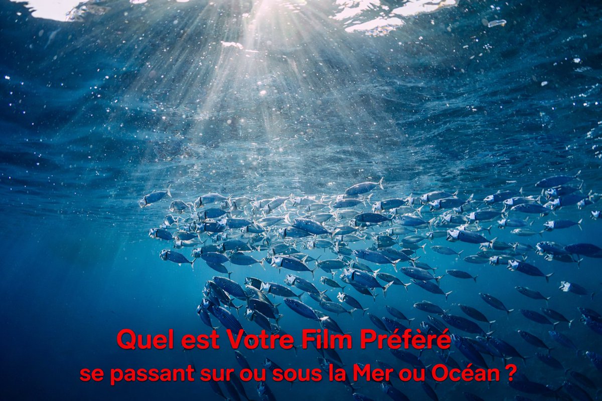 Merlin Philippe tweet media