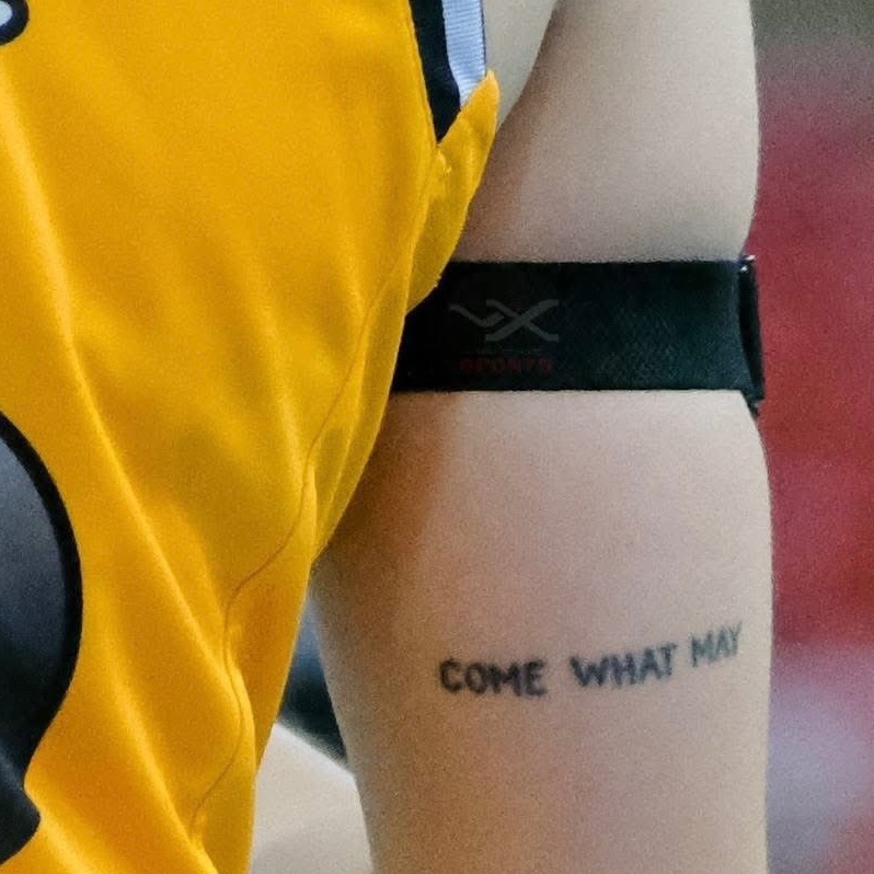 🐯🏹 tweet media