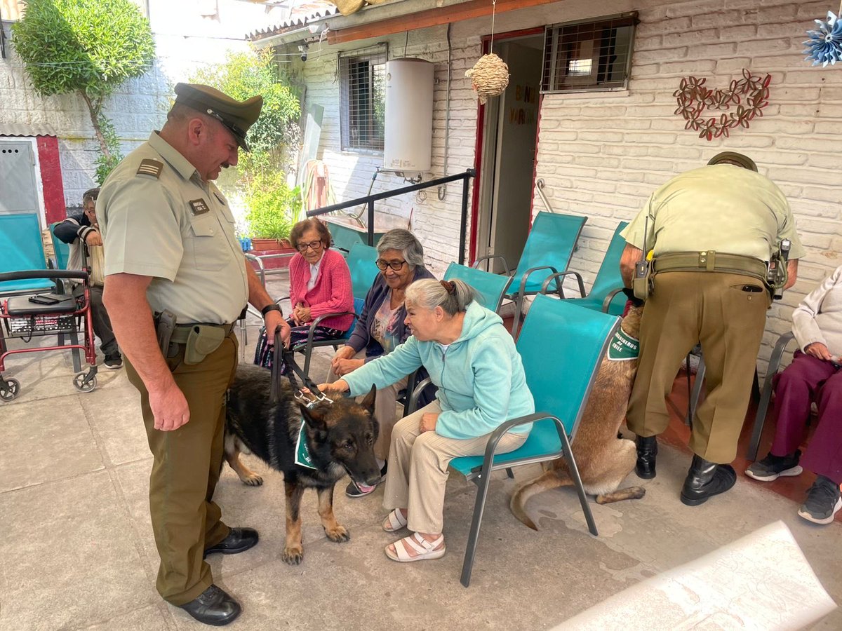 CarabPrOriente's tweet photo. #Macul: @CarabMicc de la 46 Com. Macul, realizó actividad de integración con adultos mayores del centro abierto Padre Damián Molokay con una demostración canina de la Prefectura Santiago Oriente.
#CarabinerosDeTodos. https://t.co/Vv6iquwtWj