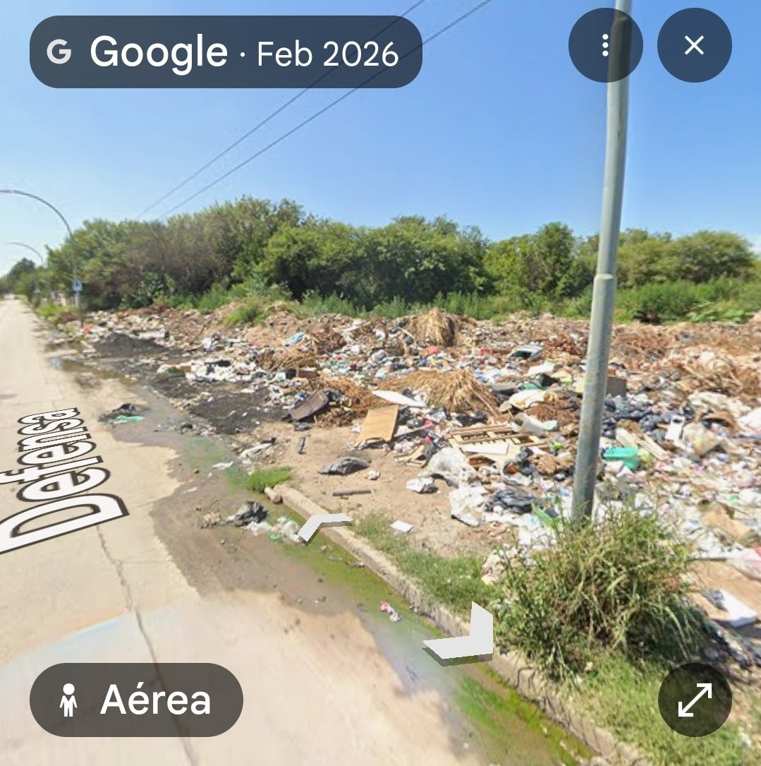 Papilia Cordobesa tweet media