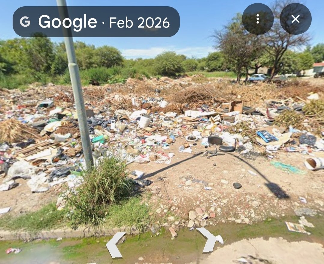 Papilia Cordobesa tweet media