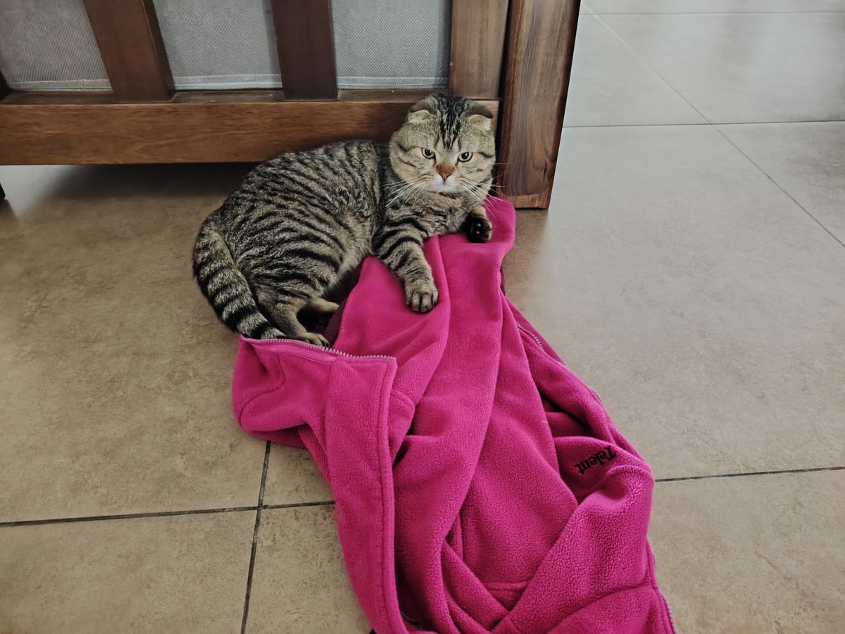 karsten krämer tweet media