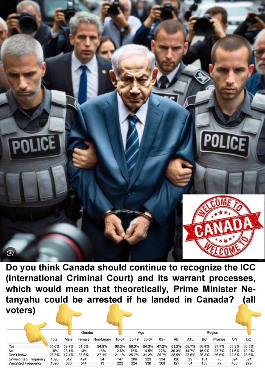 No Moral Cover tweet media